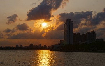 16905736