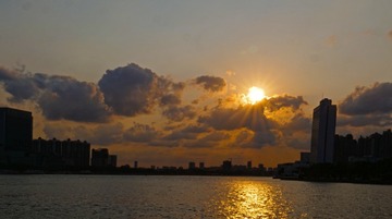 16905731