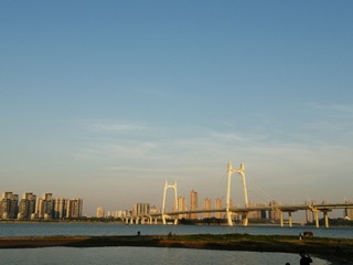 3255516