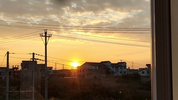 1000006134