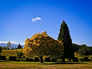 NZ D7 NEX7-07636.jpg