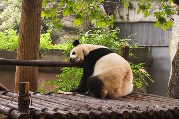 西安成都-03455