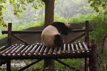 西安成都-03415
