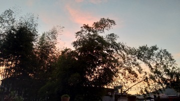 1796353