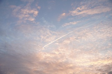 1000086249