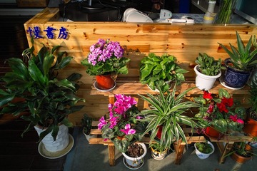 SDIM2224-副本.jpg