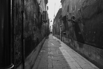SDIM2287.jpg