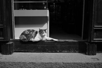 SDIM2335.jpg