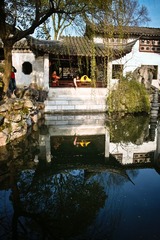 SDIM2483-3.jpg