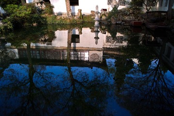 SDIM2519-2.jpg
