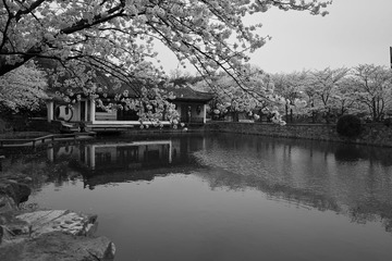 SDIM2535-3.jpg