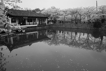 SDIM2543-3.jpg