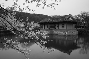 SDIM2547-3.jpg