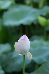 110503