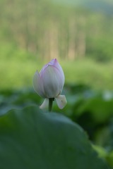 110505