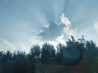 1000011661