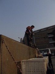 DSCF5960.jpg