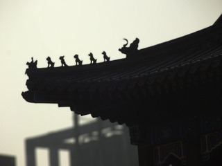 DSCF6024.jpg
