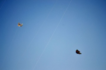 _DSC3967.JPG