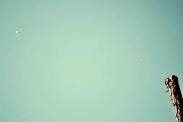 _DSC3968.JPG