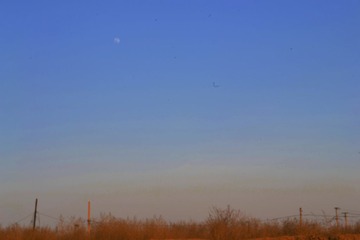 _DSC4125.JPG