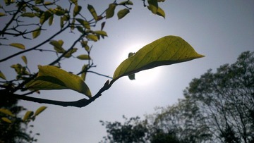 IMAG0170-1.jpg