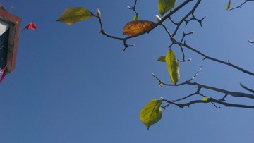 IMAG0171.jpg