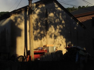 119716