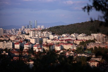 1000167314