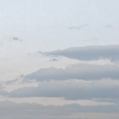 1000028320