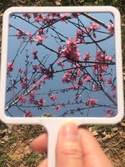 1000042359