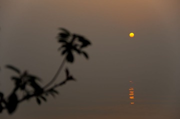 IMGP8470.jpg