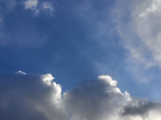 1000025535