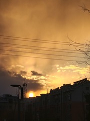 1000024689