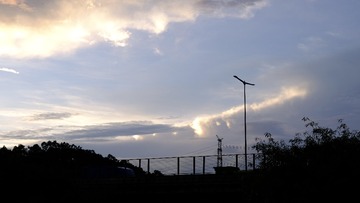 1000020153