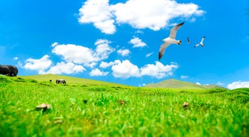 85A66A8B-F8F3-4BE2-9FD9-2557826543BB/L0/001