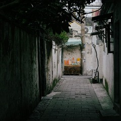 DP3M1254