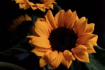 788F509A-D6F6-45D0-874F-4205B742C477/L0/001