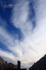 IMG_8936.jpg