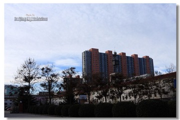 IMG_8944.jpg