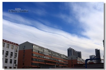 IMG_8951.jpg