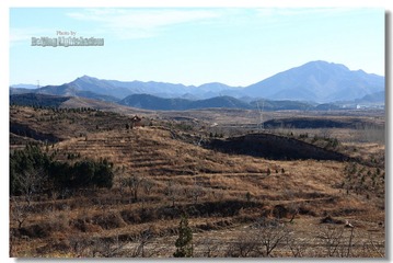 IMG_8991.jpg
