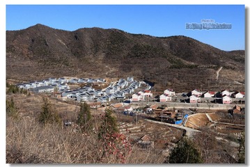 IMG_9018.jpg