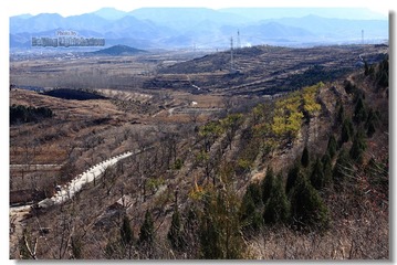 IMG_9071.jpg