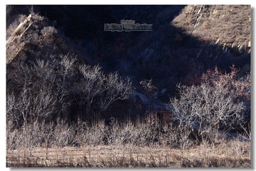 IMG_0023.jpg