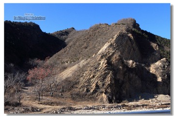 IMG_9748.jpg