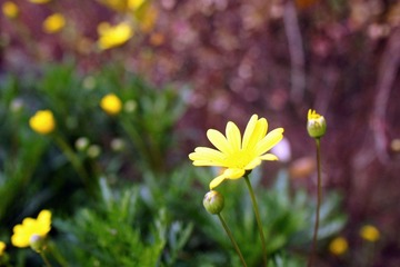 DSC03454.JPG