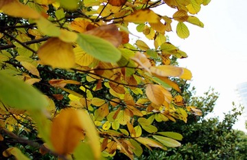DSC03460.JPG
