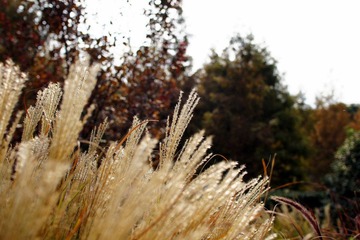 DSC03493.JPG