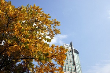 DSC03494.JPG